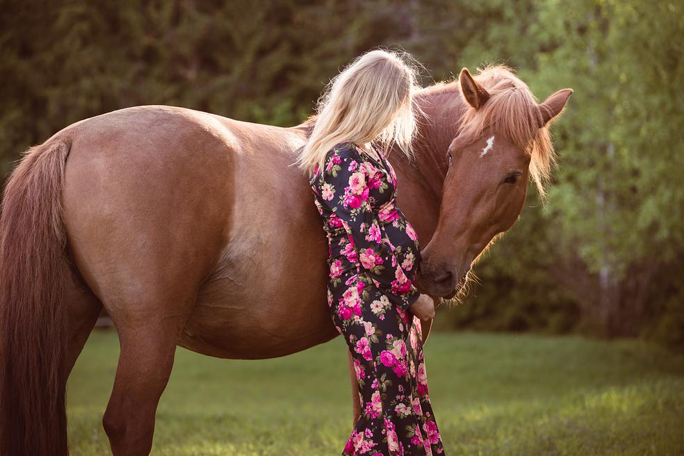 LEMPI-kohti sydänyhteyttä itseen ja hevoseen by Kohisevankoski Oy